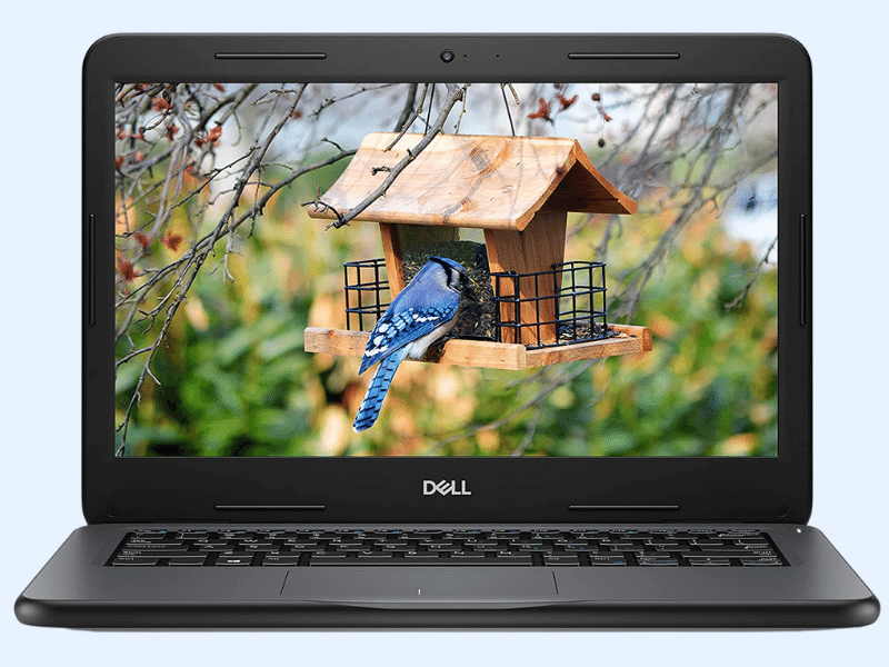 Laptop Dell Latitude 3300